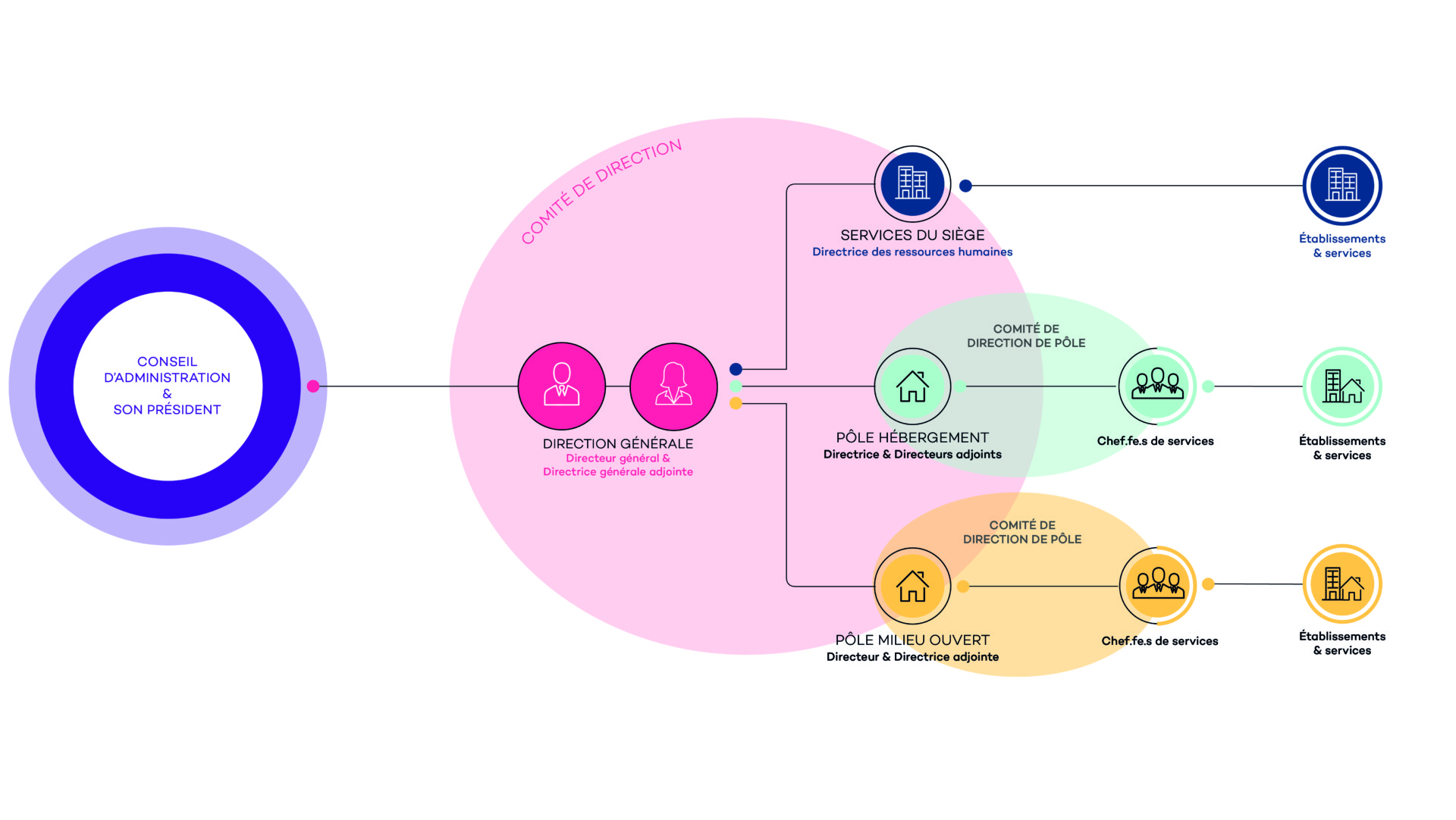 S37 - organigramme fonctionnel - mars 2026_Plan de travail 1