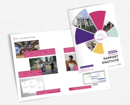 rapport activité 2024 sauvegarde 37